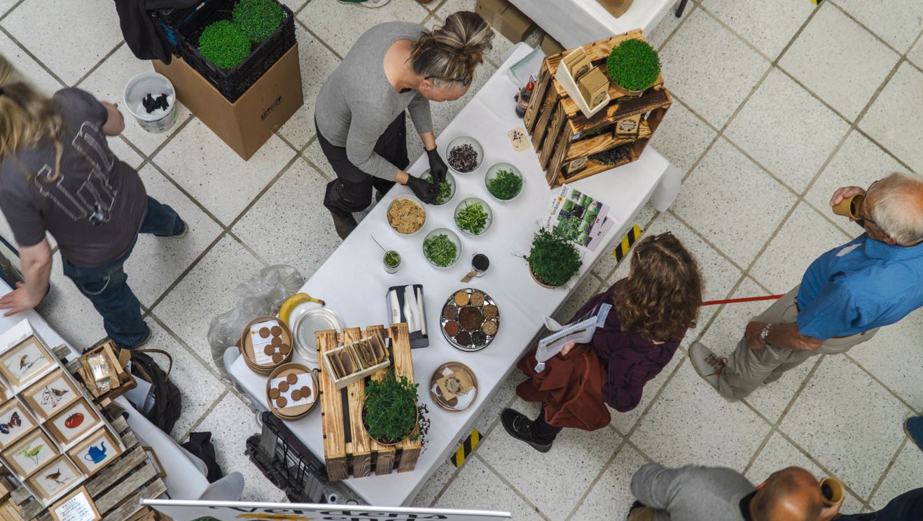 Europe’s food system is stuck: “Change is happening far too slowly”